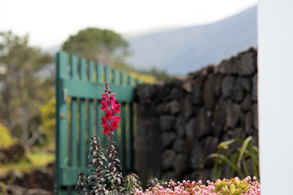 Casa Do Paim Villa São Roque do Pico Exterior foto